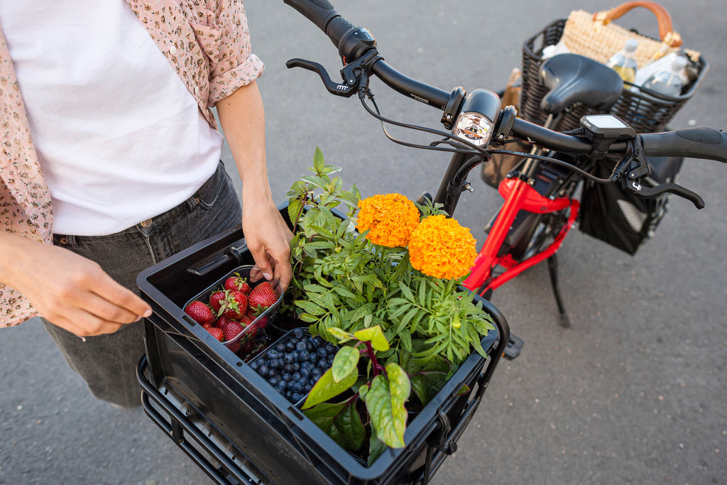 Tern e-cargo bike full of groceries and flowers
