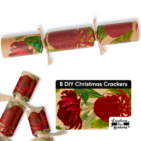 Crackers for Bon Bons DIY (8 Pack)