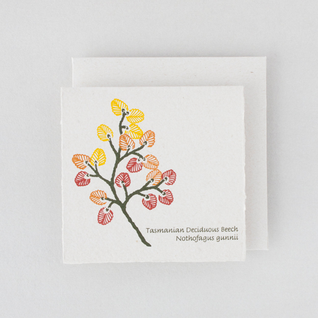Plane Tree Studio Tasmanian Native Flora Handmade Card