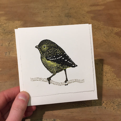 Plane Tree Studio Tasmanian Native Bird Handmade Card